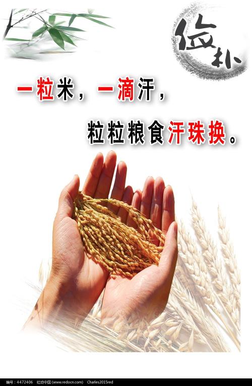 学历证书报告编号在哪